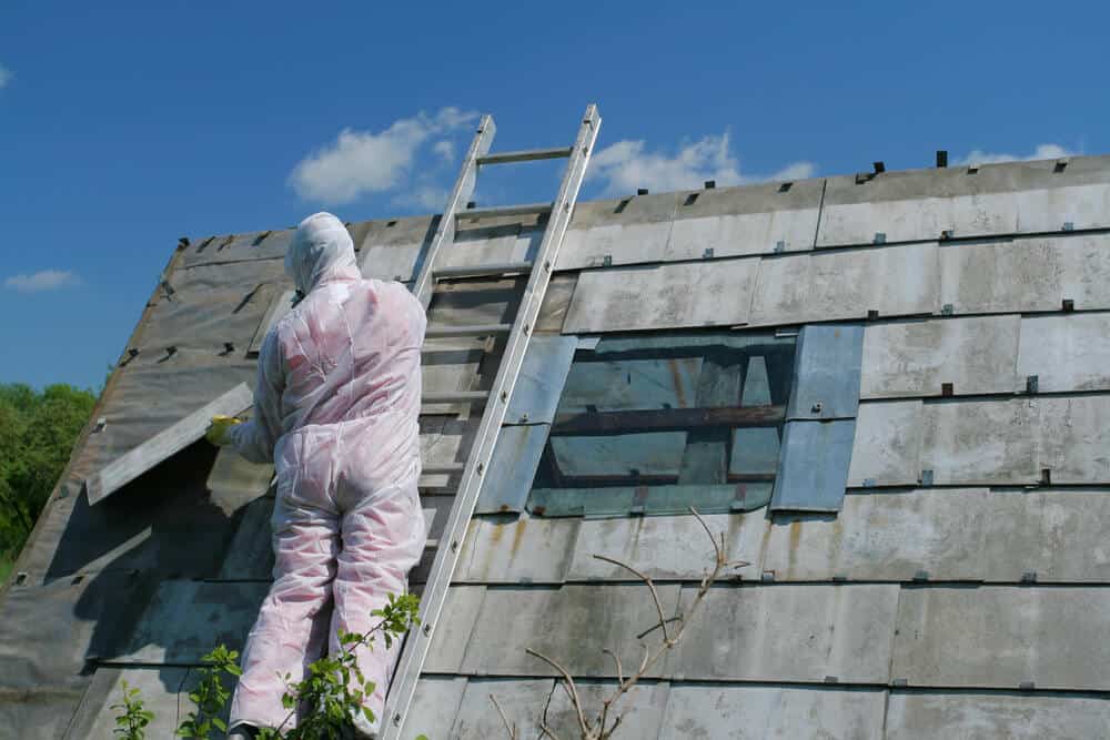 Professional worker removing asbestos and climbing a ladder